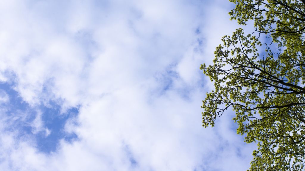 Neues Yoga-Angebot im Mehrgenerationenhaus Olpe