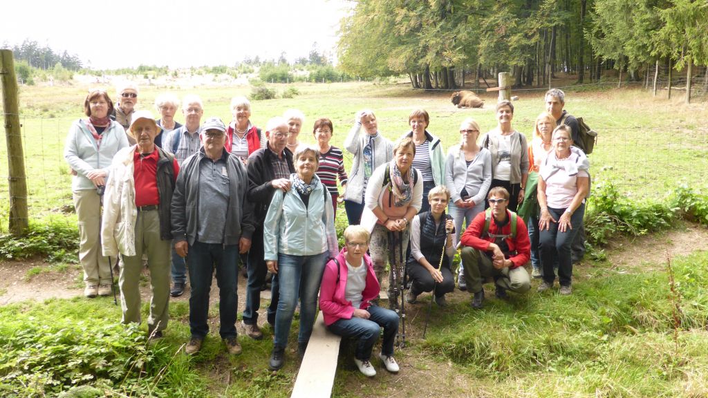 Die Wisente beeindruckten die Gäste aus Heggen. 