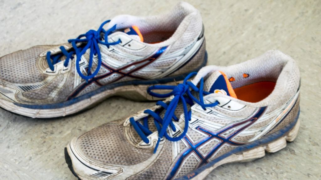 Programm des Sportbildungswerks im Überblick