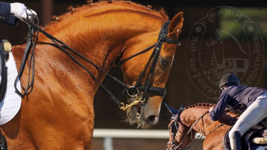 RV Attendorn-Askay richtet Reitturnier aus