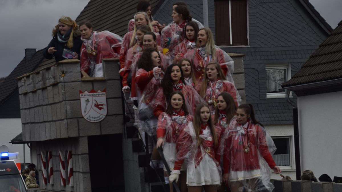 Das Foto zeigt einen Wagen im Rosenmontagszug im vergangenen Jahr.