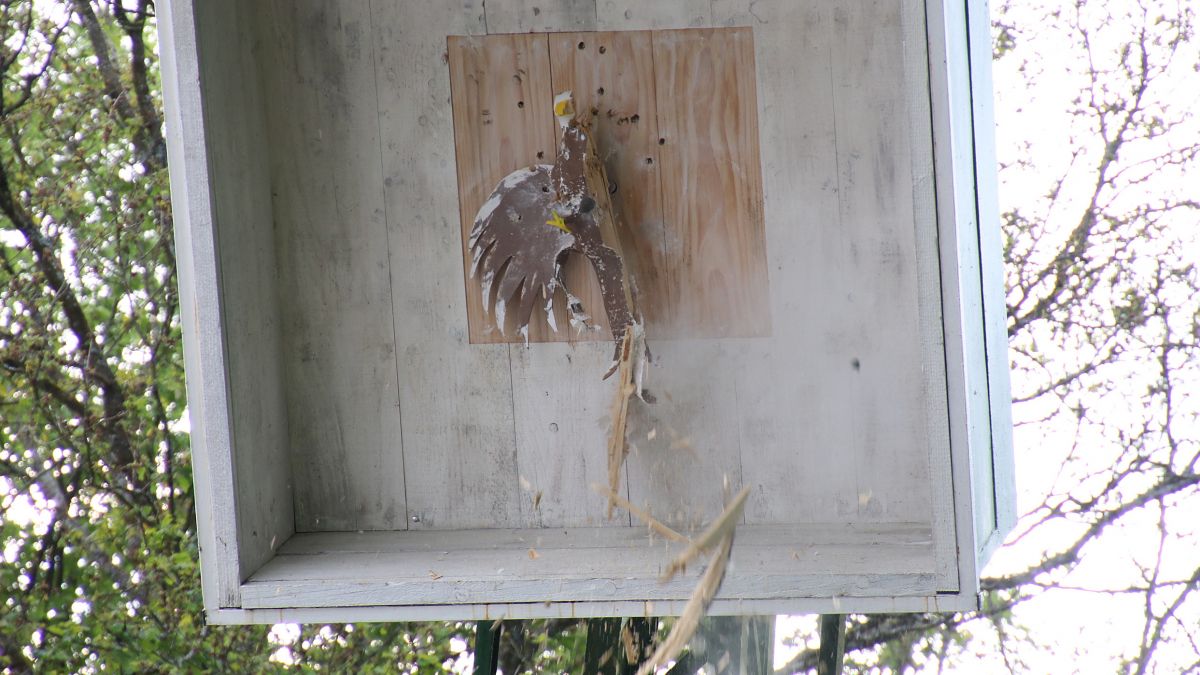 Schützenverein Brün plant keine Ersatzaktivitäten zum Schützenfest