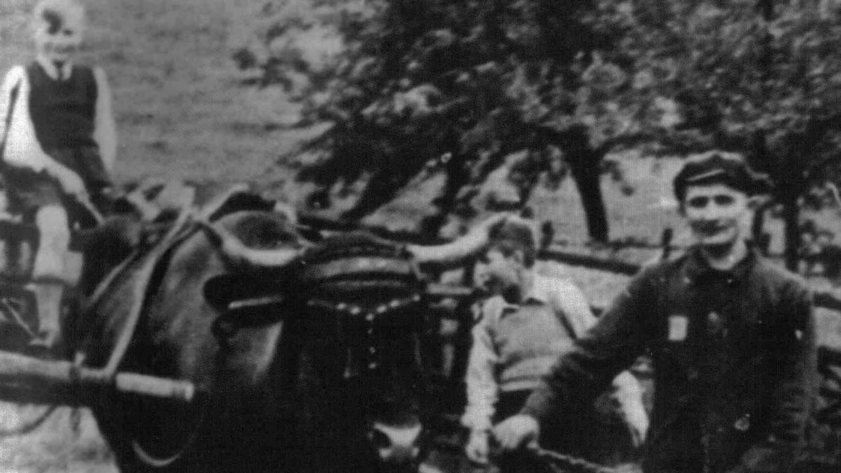 Die scheinbar harmonische Szene zeigt einen polnischen Kriegsgefangenen auf einem Bauernhof im Lennetal 1943/44.