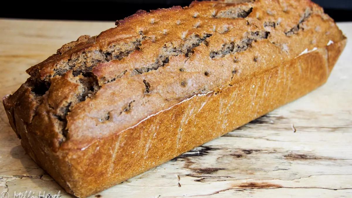 Das Paderborner Landbrot ist ein einfaches Einsteiger-Sauerteigbrot. Melli Heuel zeigt, wie's geht.
