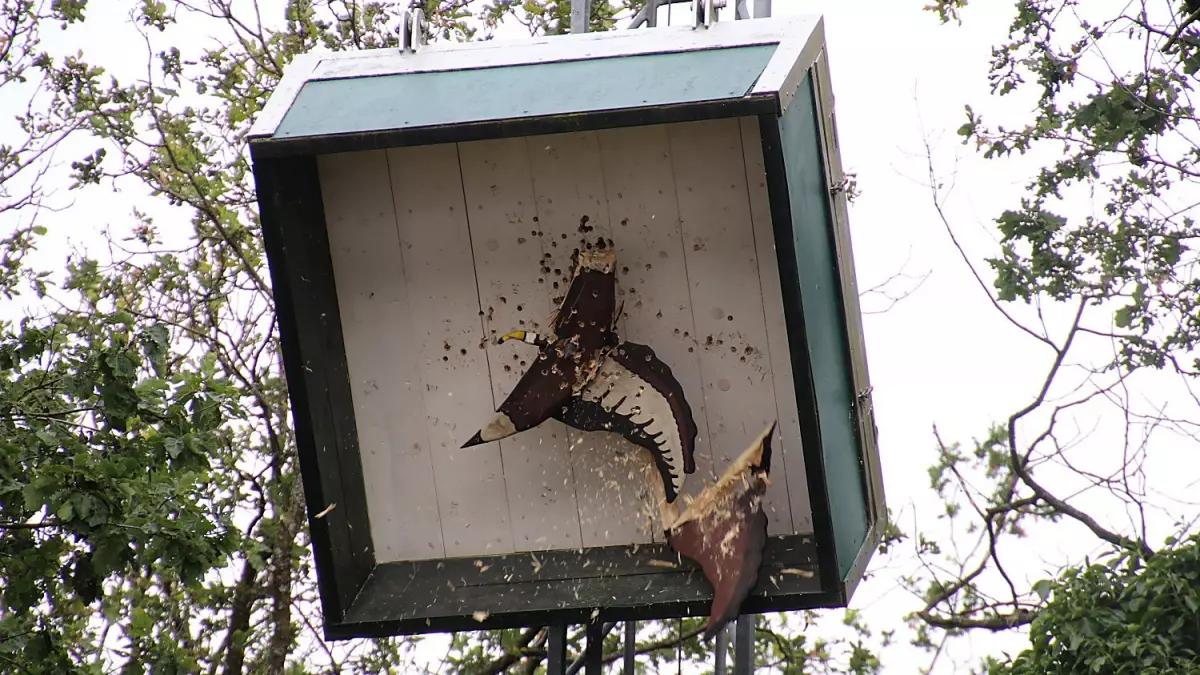 Vogelschießen beim Schützenfest 2019  in Rhode.