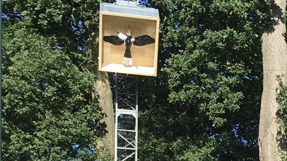 Schützenfeststimmung in Neu-Listernohl: Marschmusik und Kinderprogramm