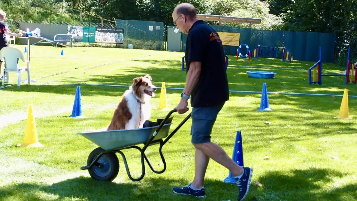 Die Hundefreunde Sauerland haben zum zehnjährigen Bestehen eine lustige Hunderallye veranstaltet.