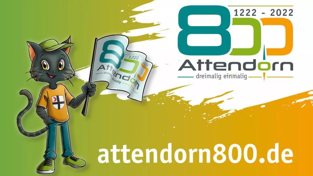 Hissflaggen zum Stadtjubiläum können in zwei Größen vorbestellt werden