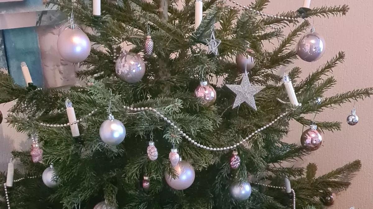 Langsam aber sicher verschwinden die Weihnachtsbäume aus den Wohnzimmern.