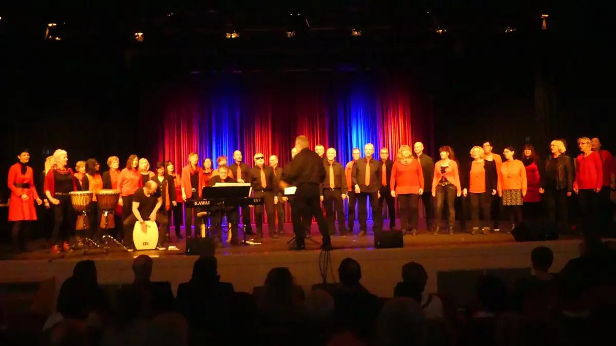 Der Chor „Just for fun“.