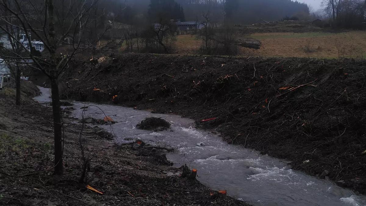 Am Oedinger Bach wurde abgeholzt.