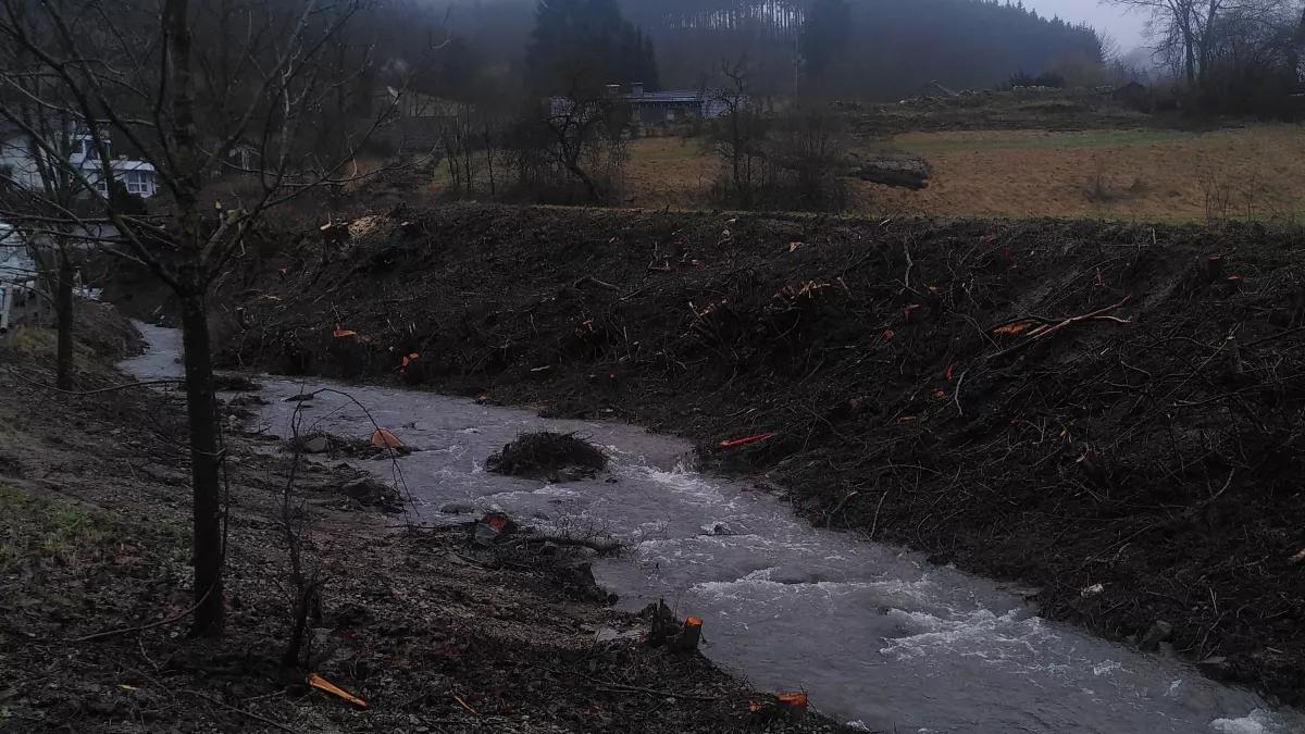 Am Oedinger Bach wurde abgeholzt. Auf Nachfrage der Grünen wurde darüber im Lennestädter Rat diskutiert.