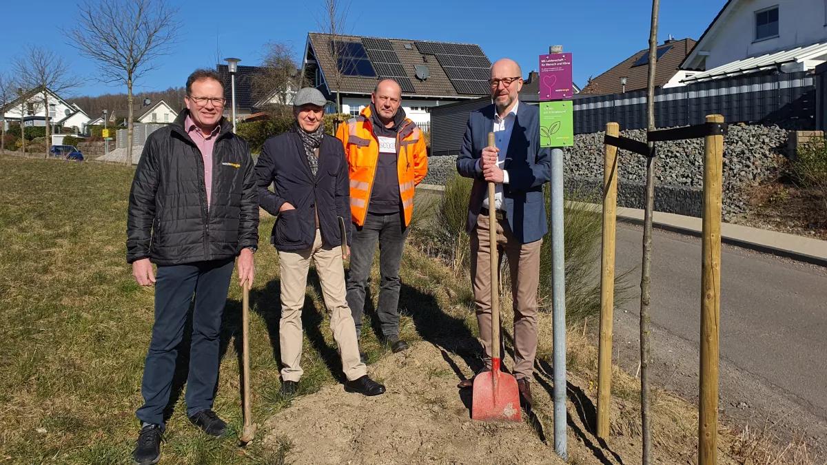 Achim Loos (Westenergie), Dieter Gastreich (Umweltschutzbeauftragter), Uwe Steinberg (Leiter Baubetriebshof) und Bürgermeister Ulrich Berghof (von links) freuen sich über die neuen Bäume.