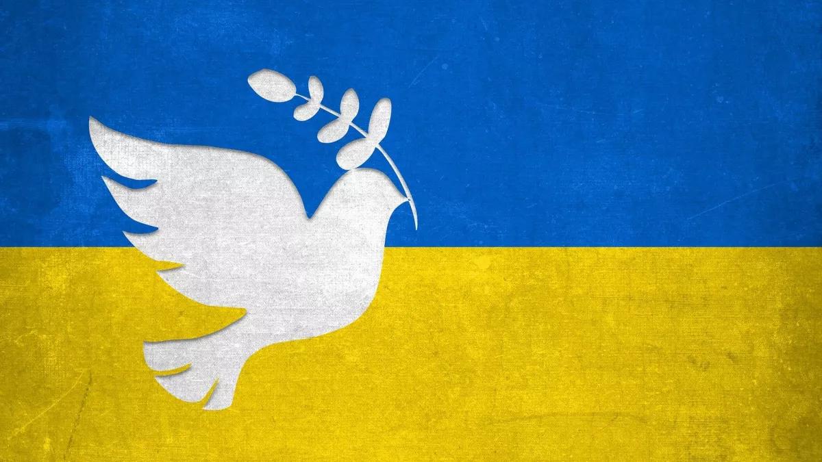 Infoveranstaltung zur Aufnahme von Geflüchteten in der Sekundarschule