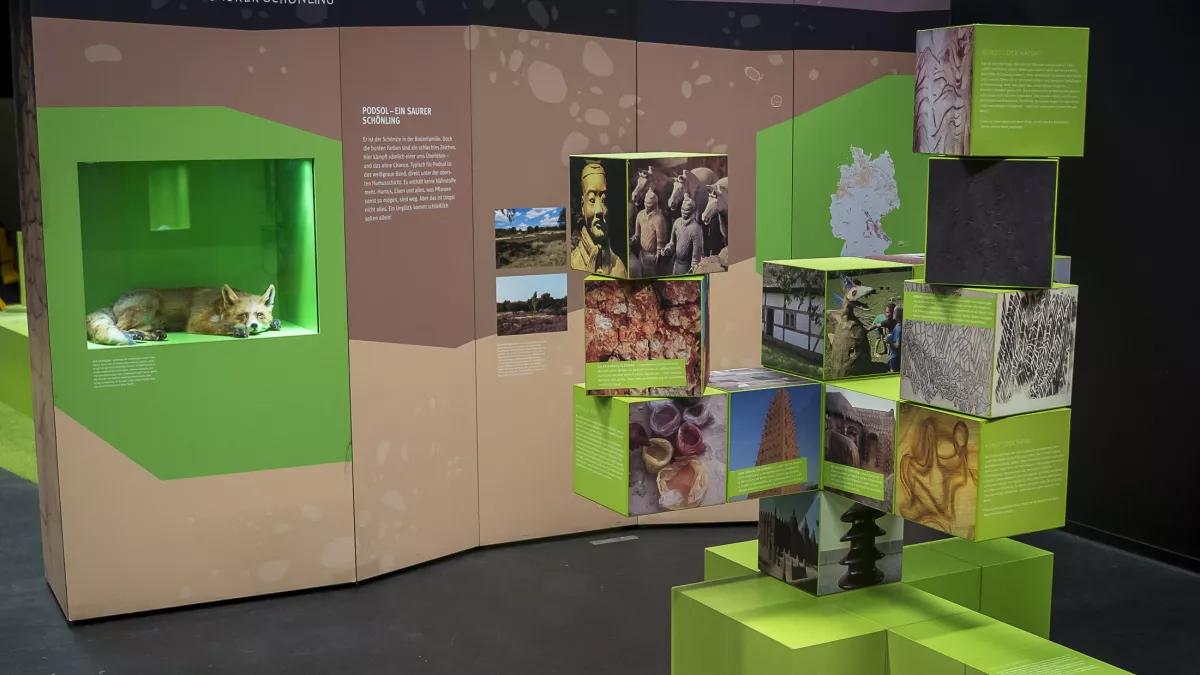 GALILEO-PARK startet in die Saison mit zwei neuen Ausstellungen