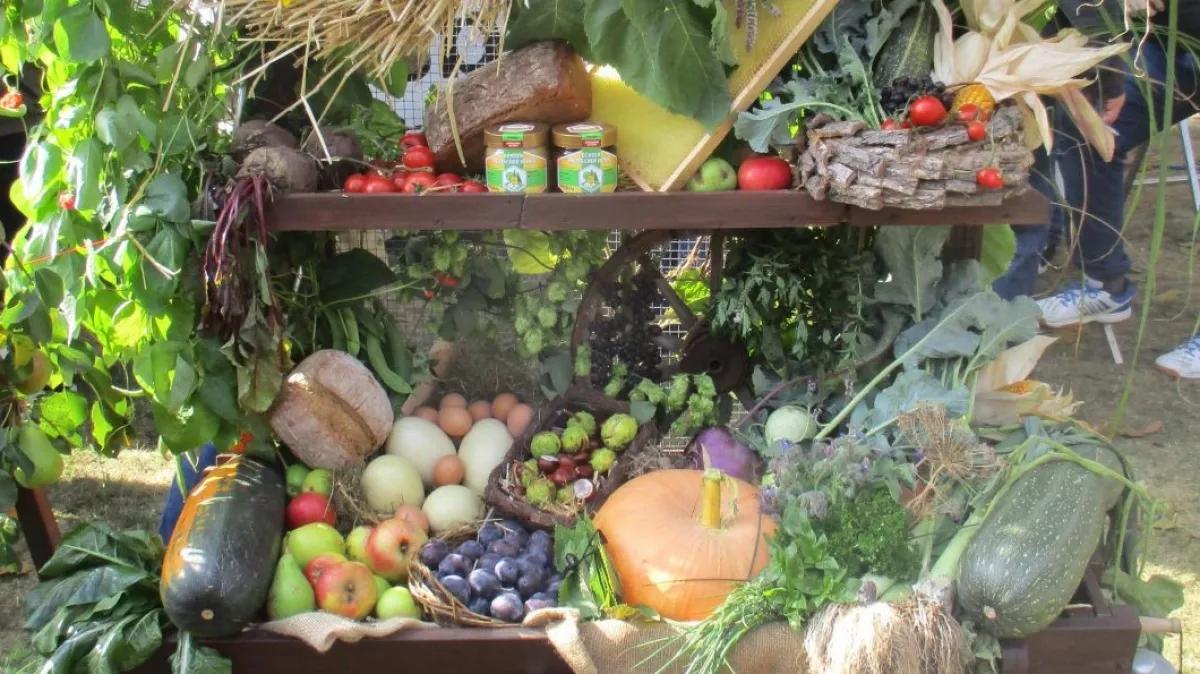 Bunt geschmückte Erntewagen des Erntefestes in Drolshagen.