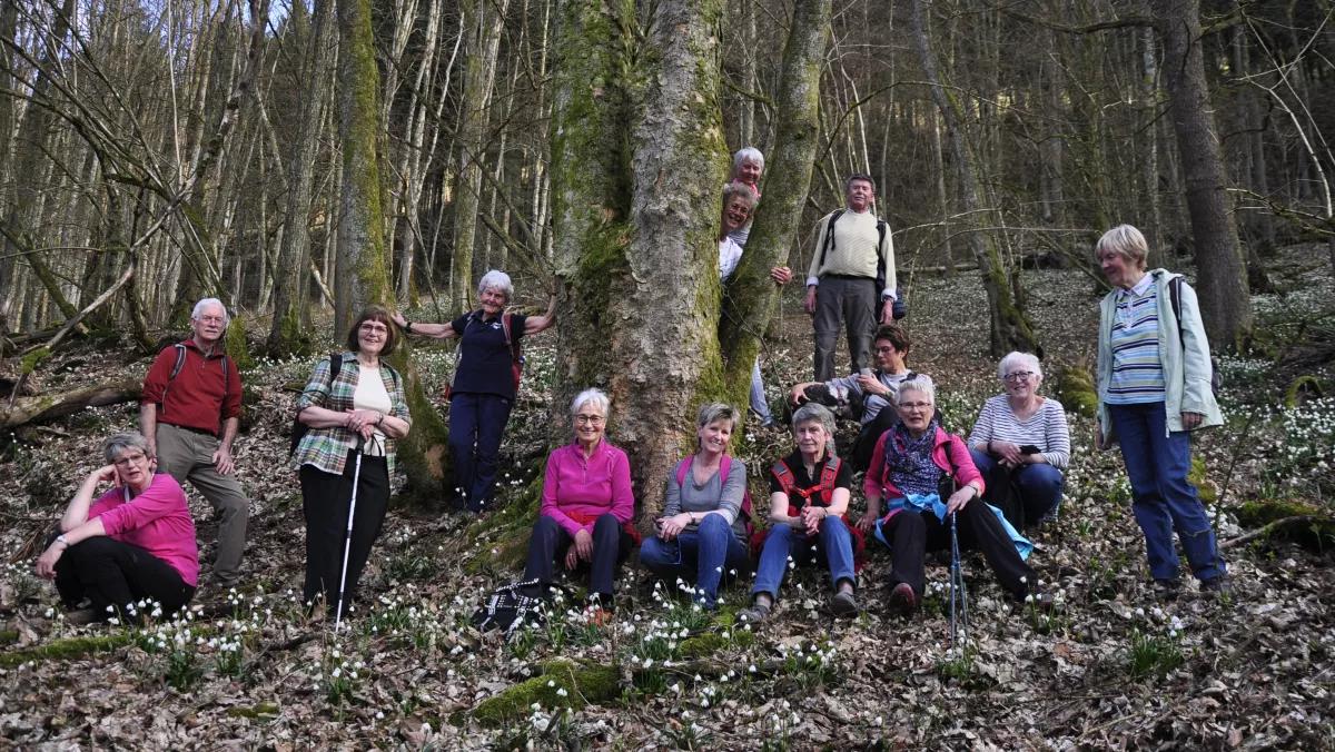 Die Wanderer des SGV Meggen haben die Wandersaison 2022 eröffnet. Die Strecke führte zu den Märzenbechern.